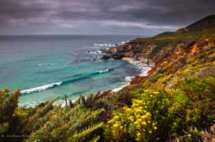 Garrapata beach-6632